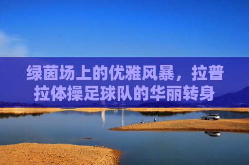 绿茵场上的优雅风暴，拉普拉体操足球队的华丽转身