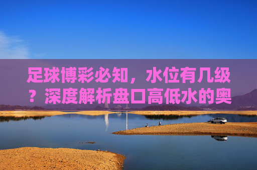 足球博彩必知,水位有几级?深度解析盘口高低水的奥秘