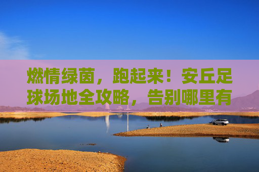 燃情绿茵,跑起来!安丘足球场地全攻略,告别哪里有场地的困扰