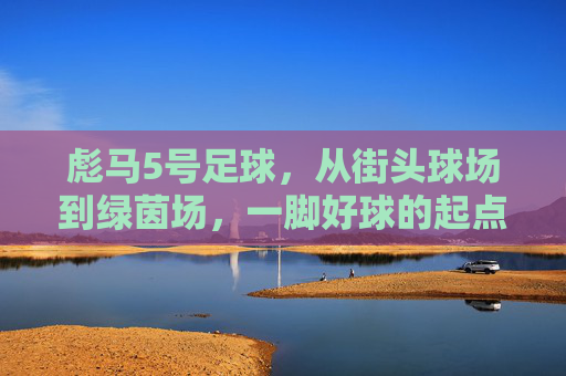彪马5号足球,从街头球场到绿茵场,一脚好球的起点