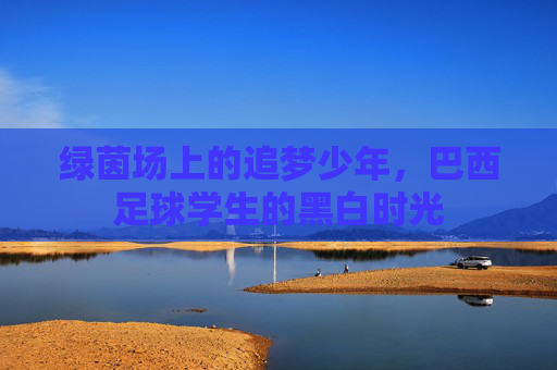 绿茵场上的追梦少年,巴西足球学生的黑白时光