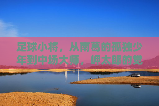 足球小将,从南葛的孤独少年到中场大师,岬太郎的觉醒与传承