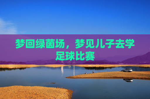 梦回绿茵场,梦见儿子去学足球比赛