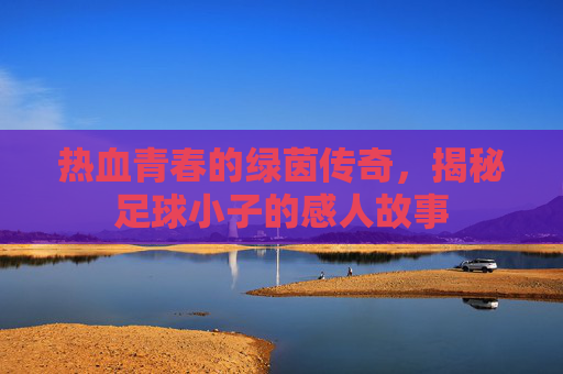 热血青春的绿茵传奇，揭秘足球小子的感人故事