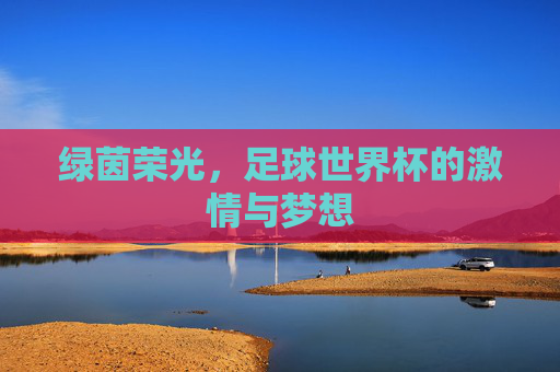 绿茵荣光，足球世界杯的激情与梦想