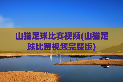 山猫足球比赛视频(山猫足球比赛视频完整版)