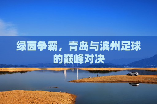 绿茵争霸，青岛与滨州足球的巅峰对决