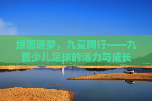 绿茵逐梦，九夏同行——九夏少儿足球的活力与成长
