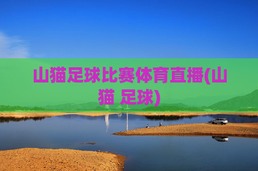 山猫足球比赛体育直播(山猫 足球)