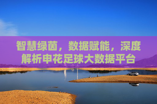 智慧绿茵,数据赋能,深度解析申花足球大数据平台