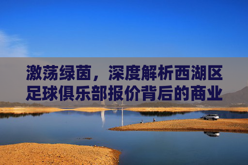 激荡绿茵,深度解析西湖区足球俱乐部报价背后的商业逻辑与投资价值