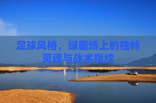 足球风格,绿茵场上的独特灵魂与战术指纹