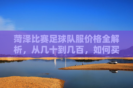 菏泽比赛足球队服价格全解析,从几十到几百,如何买到高性价比装备?