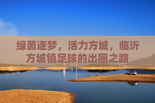 绿茵逐梦,活力方城,临沂方城镇足球的出圈之路