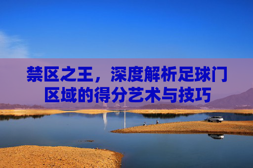 禁区之王，深度解析足球门区域的得分艺术与技巧