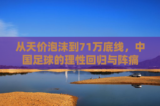 从天价泡沫到71万底线,中国足球的理性回归与阵痛