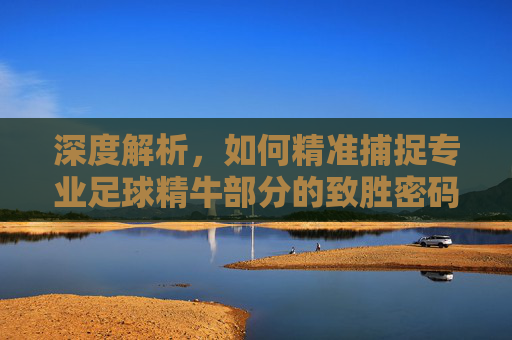 深度解析,如何精准捕捉专业足球精牛部分的致胜密码