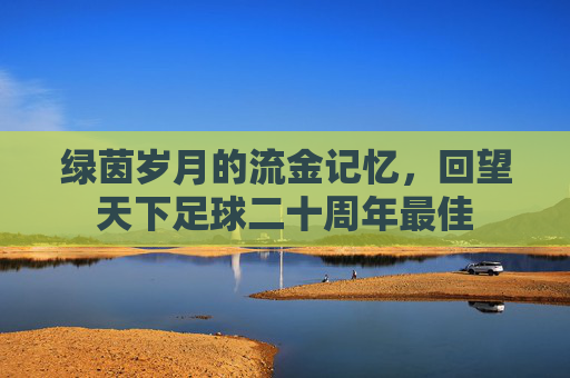 绿茵岁月的流金记忆,回望天下足球二十周年最佳