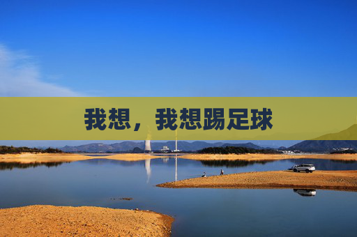 我想,我想踢足球