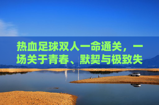 热血足球双人一命通关,一场关于青春、默契与极致失误的回忆