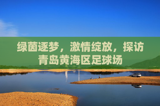 绿茵逐梦,激情绽放,探访青岛黄海区足球场
