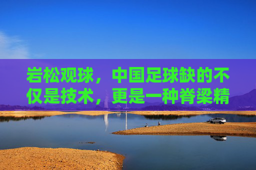 岩松观球,中国足球缺的不仅是技术,更是一种脊梁精神
