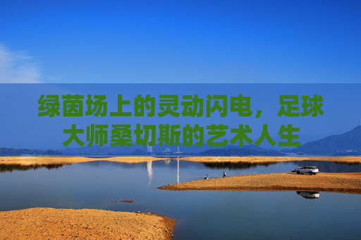 绿茵场上的灵动闪电，足球大师桑切斯的艺术人生