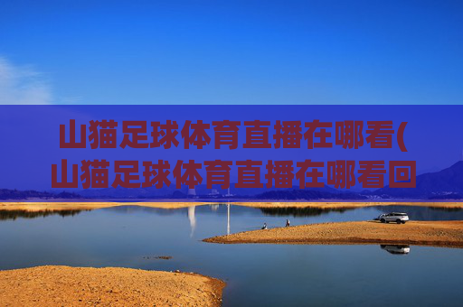 山猫足球体育直播在哪看(山猫足球体育直播在哪看回放)
