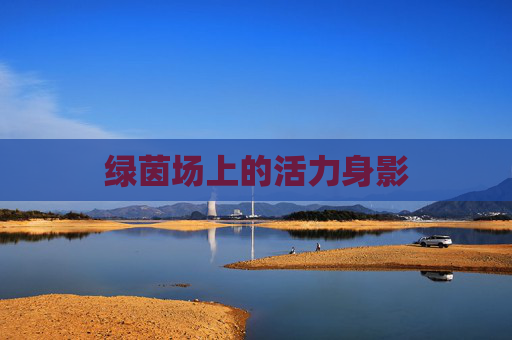 绿茵场上的活力身影