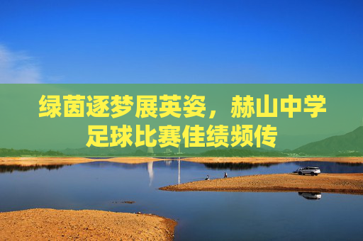 绿茵逐梦展英姿，赫山中学足球比赛佳绩频传