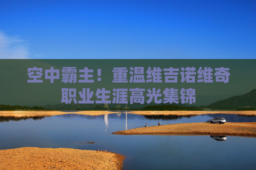 空中霸主！重温维吉诺维奇职业生涯高光集锦