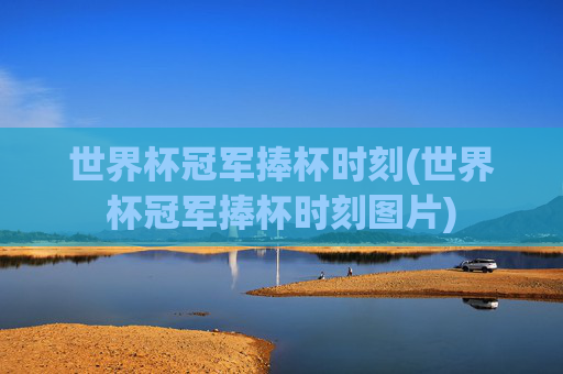 世界杯冠军捧杯时刻(世界杯冠军捧杯时刻图片)