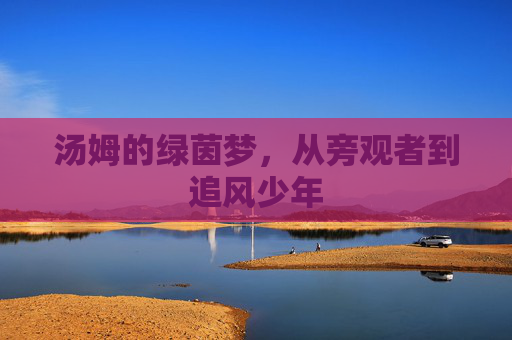 汤姆的绿茵梦，从旁观者到追风少年