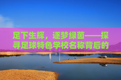 足下生辉，逐梦绿茵——探寻足球特色学校名称背后的文化底蕴与育人情怀
