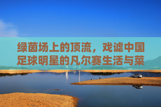 绿茵场上的顶流，戏谑中国足球明星的凡尔赛生活与菜鸡表现