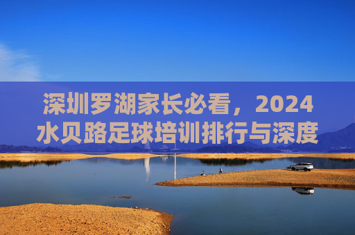 深圳罗湖家长必看,2024水贝路足球培训排行与深度测评