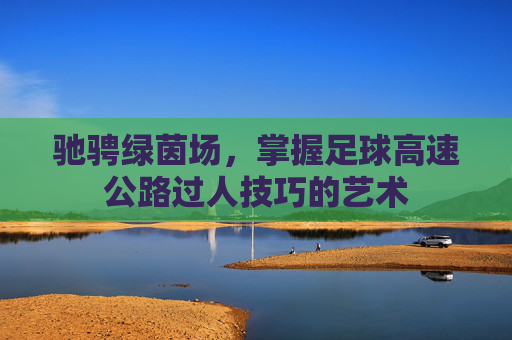 驰骋绿茵场,掌握足球高速公路过人技巧的艺术