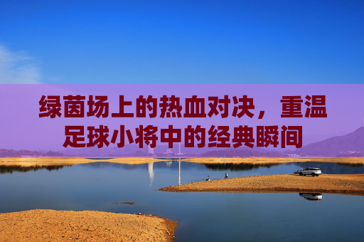绿茵场上的热血对决,重温足球小将中的经典瞬间