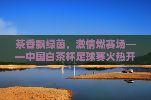 茶香飘绿茵，激情燃赛场——中国白茶杯足球赛火热开赛
