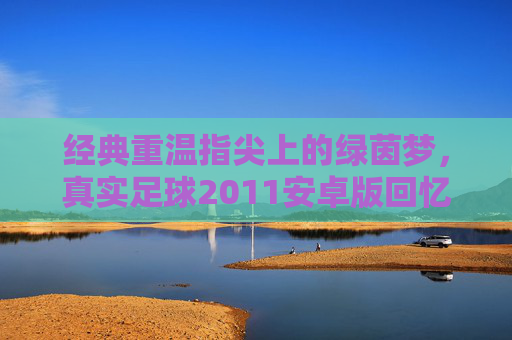 经典重温指尖上的绿茵梦，真实足球2011安卓版回忆录