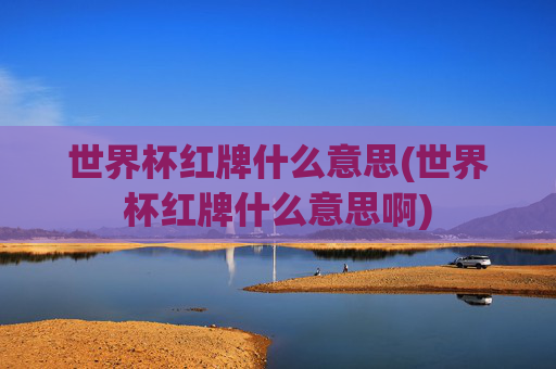 世界杯红牌什么意思(世界杯红牌什么意思啊)