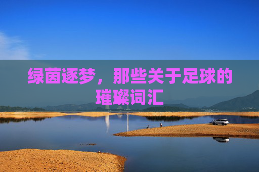 绿茵逐梦,那些关于足球的璀璨词汇