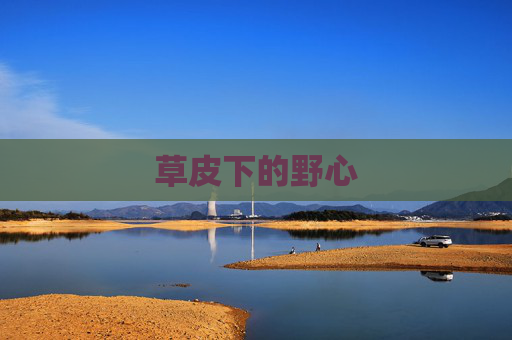 草皮下的野心