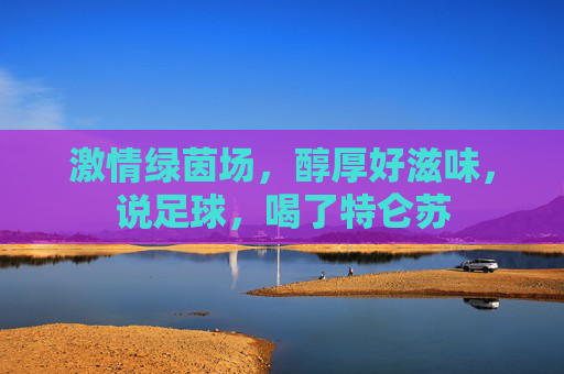 激情绿茵场,醇厚好滋味,说足球,喝了特仑苏