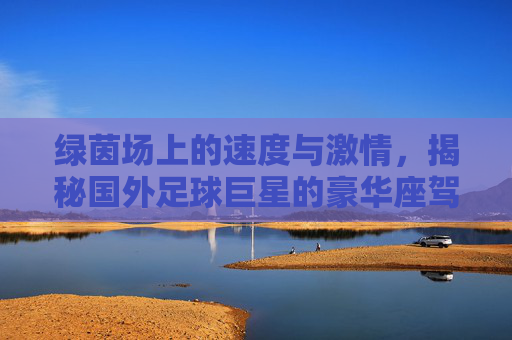 绿茵场上的速度与激情,揭秘国外足球巨星的豪华座驾