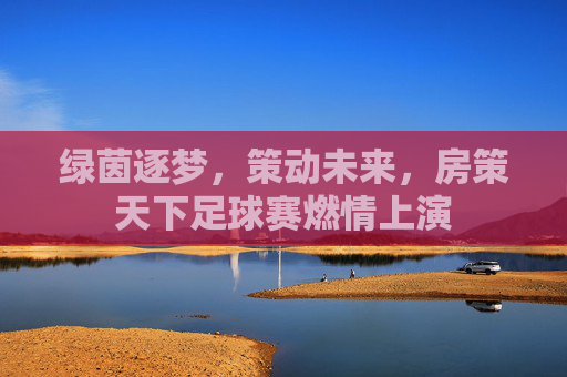 绿茵逐梦,策动未来,房策天下足球赛燃情上演