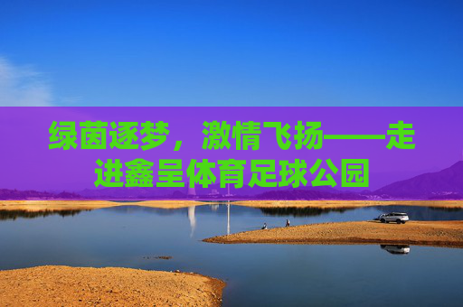 绿茵逐梦，激情飞扬——走进鑫呈体育足球公园