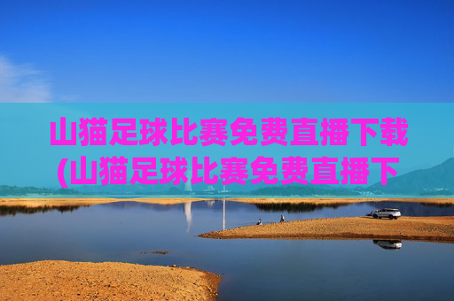 山猫足球比赛免费直播下载(山猫足球比赛免费直播下载安装)