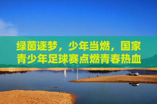 绿茵逐梦，少年当燃，国家青少年足球赛点燃青春热血