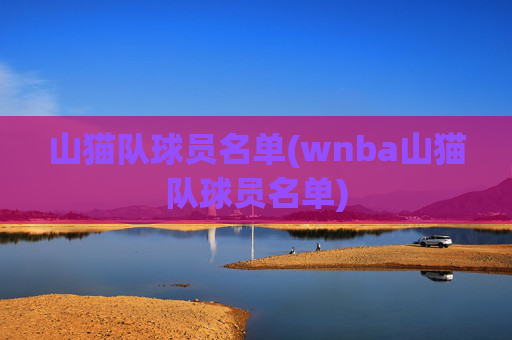 山猫队球员名单(wnba山猫队球员名单)
